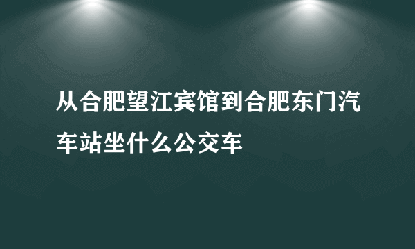 从合肥望江宾馆到合肥东门汽车站坐什么公交车