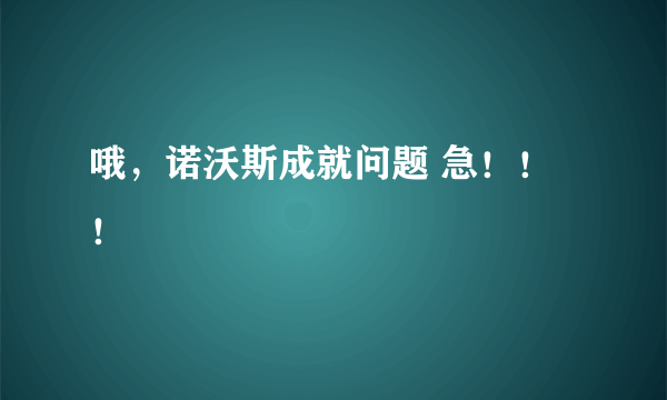 哦，诺沃斯成就问题 急！！！