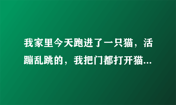 我家里今天跑进了一只猫，活蹦乱跳的，我把门都打开猫都不走，这是为什么？家里跑进的猫能收养吗？如图猫