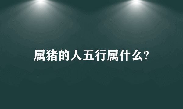 属猪的人五行属什么?