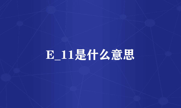 E_11是什么意思