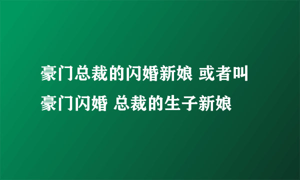 豪门总裁的闪婚新娘 或者叫 豪门闪婚 总裁的生子新娘