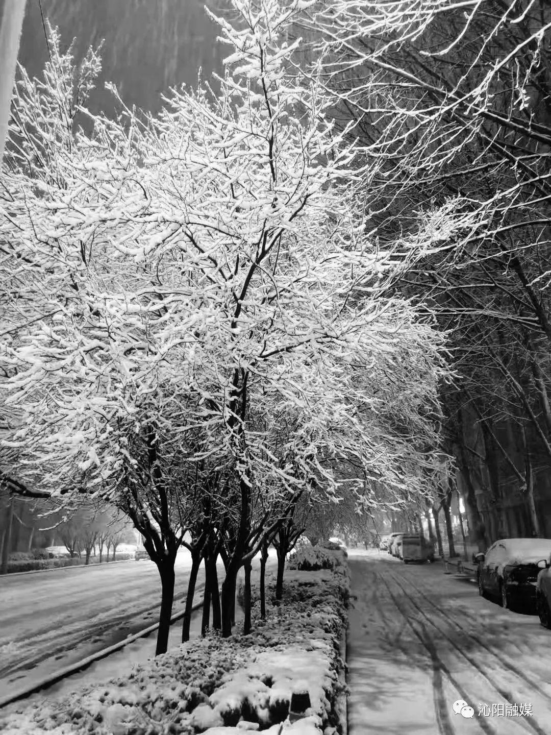 山西发布暴雪红色预警，当地哪些地区的暴风雪最为严重？