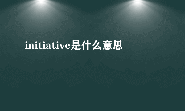 initiative是什么意思