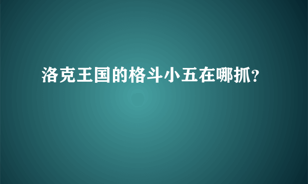 洛克王国的格斗小五在哪抓？