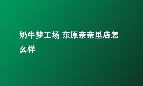 奶牛梦工场 东原亲亲里店怎么样