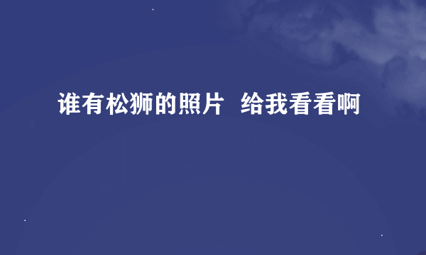 谁有松狮的照片  给我看看啊