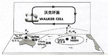 什么是沃克环流