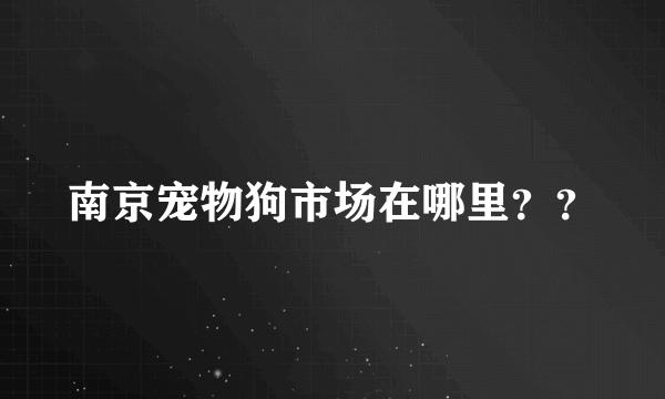 南京宠物狗市场在哪里？？