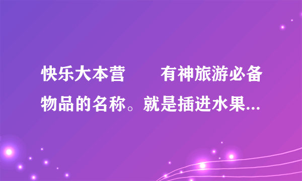 快乐大本营囧囧有神旅游必备物品的名称。就是插进水果，按下去就可以喷出水果汁的那一个热心解答下吧