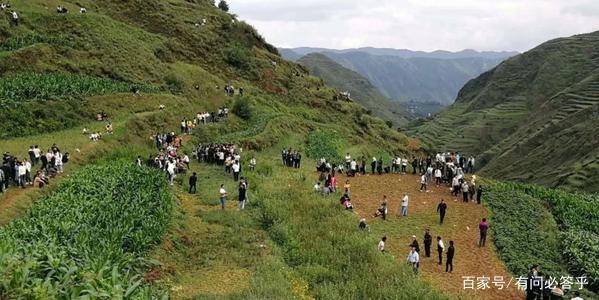 贵州深山“龙吟”真相竟是鸟在叫，那么黄脚三趾鹑到底是啥鸟？