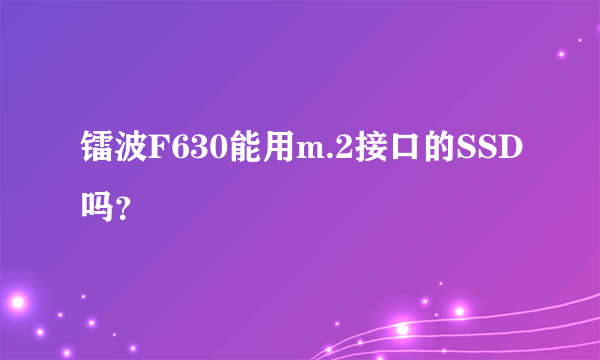 镭波F630能用m.2接口的SSD吗？