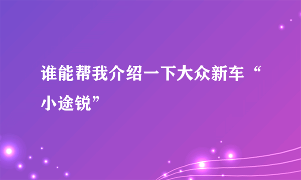 谁能帮我介绍一下大众新车“小途锐”