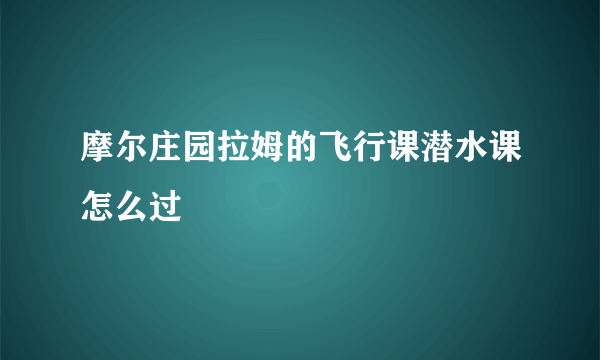 摩尔庄园拉姆的飞行课潜水课怎么过