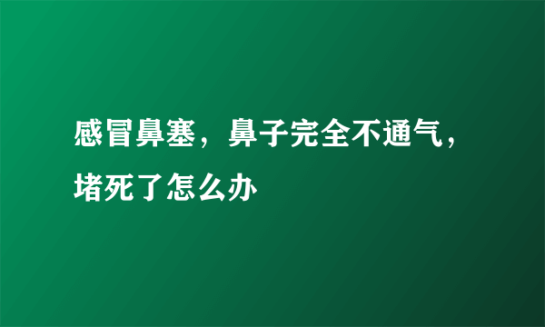 感冒鼻塞，鼻子完全不通气，堵死了怎么办