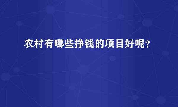 农村有哪些挣钱的项目好呢？