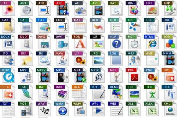 常见的文件“后缀名”有哪些？