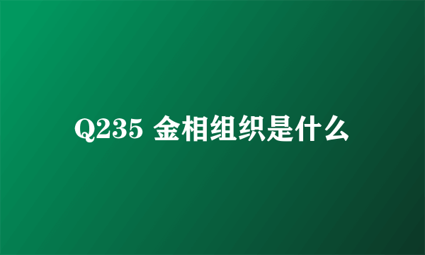 Q235 金相组织是什么