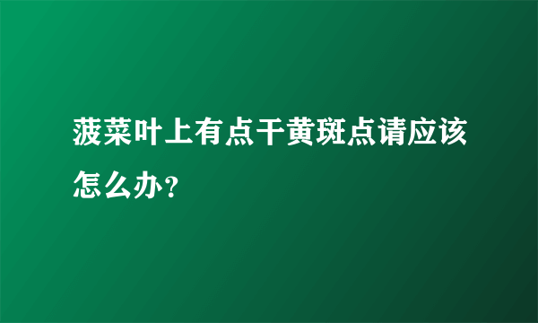 菠菜叶上有点干黄斑点请应该怎么办？