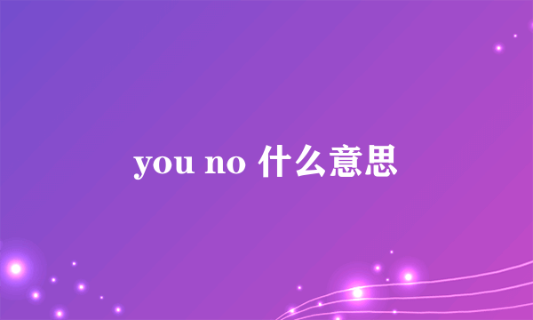 you no 什么意思