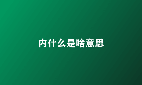 内什么是啥意思