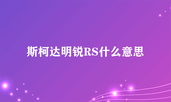 斯柯达明锐RS什么意思