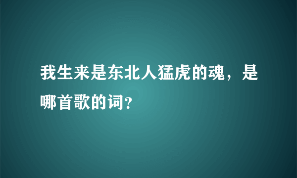 我生来是东北人猛虎的魂，是哪首歌的词？