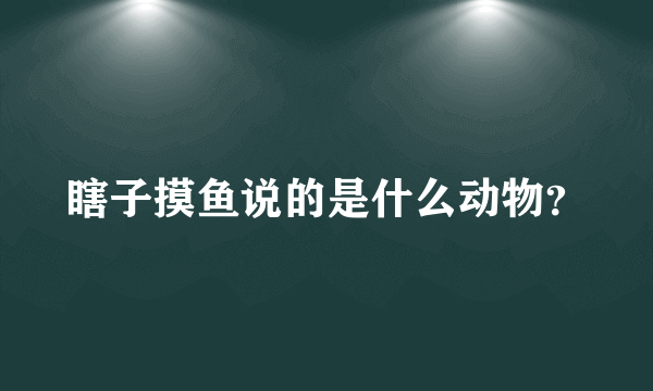 瞎子摸鱼说的是什么动物？