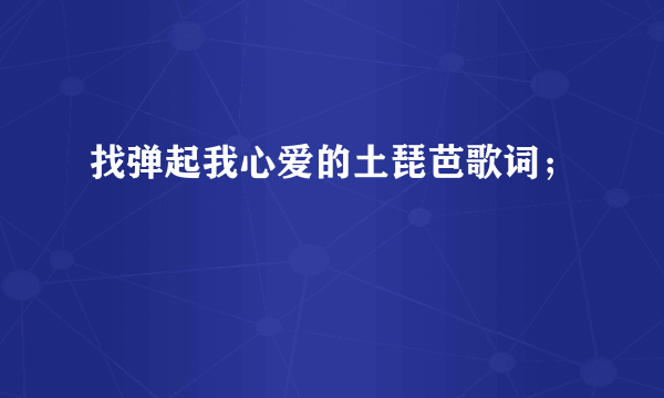 找弹起我心爱的土琵芭歌词；