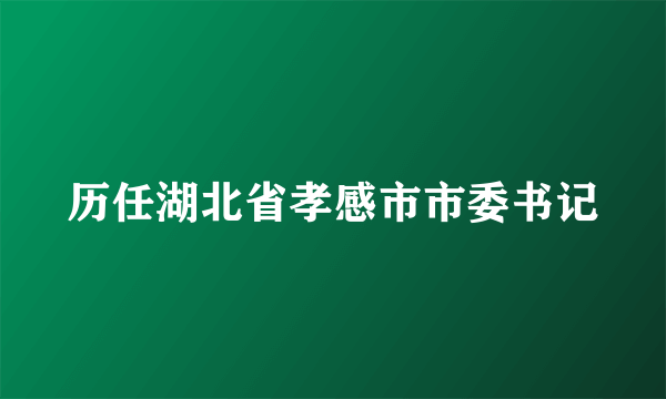 历任湖北省孝感市市委书记