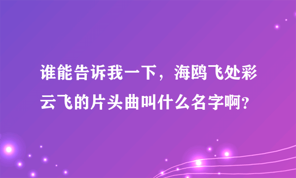 谁能告诉我一下，海鸥飞处彩云飞的片头曲叫什么名字啊？