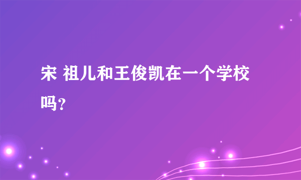 宋 祖儿和王俊凯在一个学校吗？