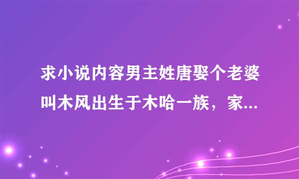 求小说内容男主姓唐娶个老婆叫木风出生于木哈一族，家有三子最小的小名叫唐小唐