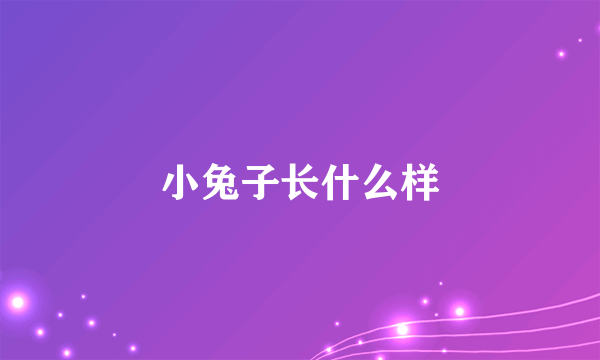 小兔子长什么样