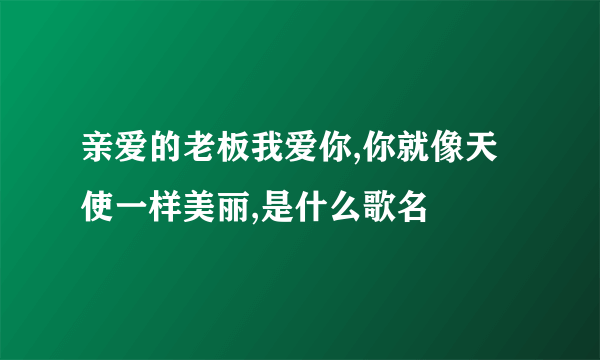 亲爱的老板我爱你,你就像天使一样美丽,是什么歌名