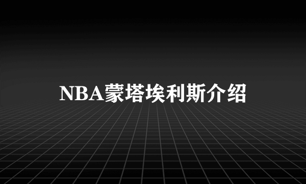 NBA蒙塔埃利斯介绍