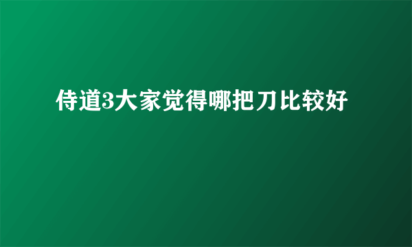 侍道3大家觉得哪把刀比较好