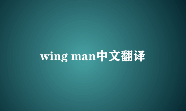 wing man中文翻译