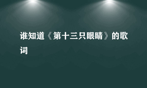 谁知道《第十三只眼睛》的歌词