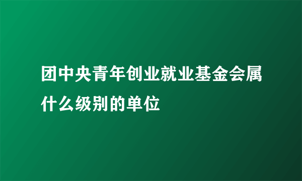 团中央青年创业就业基金会属什么级别的单位