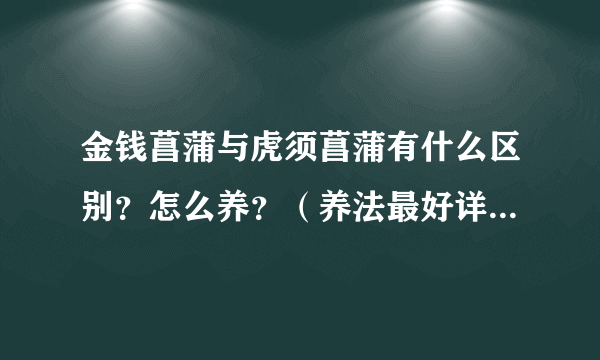 金钱菖蒲与虎须菖蒲有什么区别？怎么养？（养法最好详细一点）