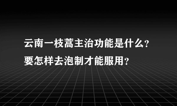 云南一枝蒿主治功能是什么？要怎样去泡制才能服用？