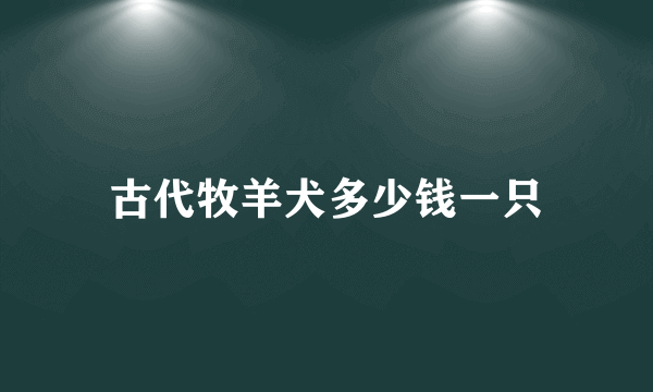 古代牧羊犬多少钱一只