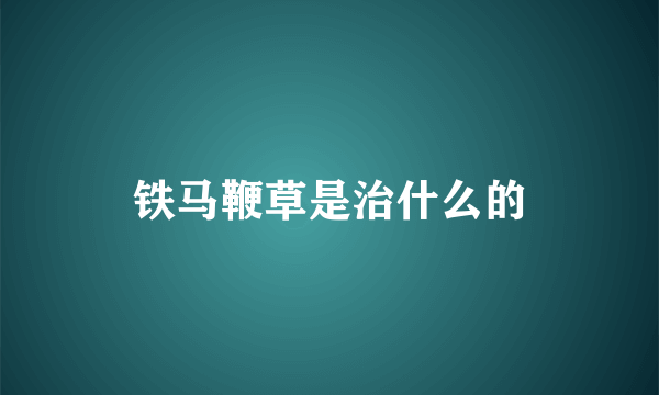 铁马鞭草是治什么的