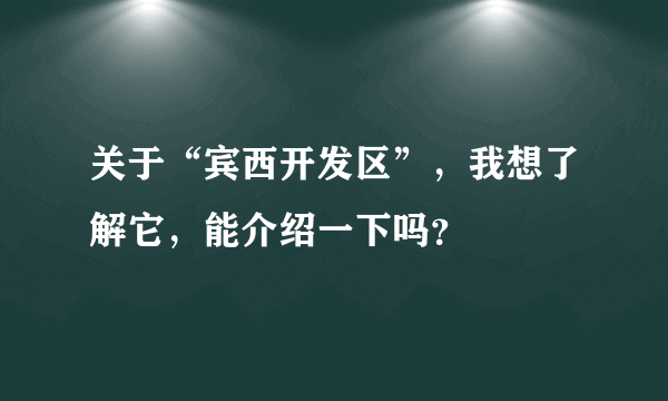 关于“宾西开发区”，我想了解它，能介绍一下吗？