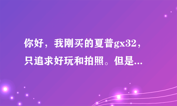 你好，我刚买的夏普gx32，只追求好玩和拍照。但是我输入不了拼音，我还想装最基本的QQ和微博，怎么装。