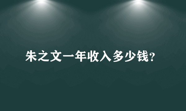 朱之文一年收入多少钱？