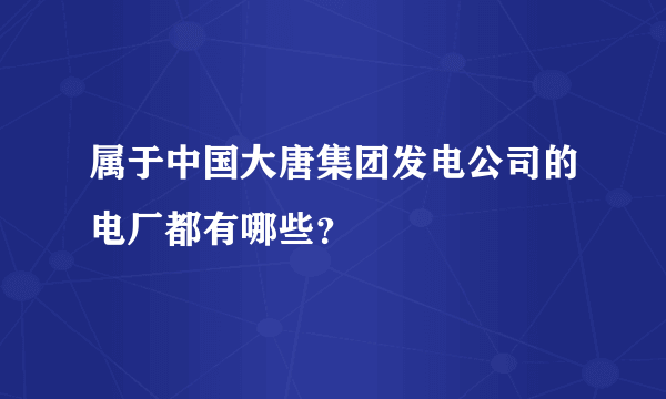 属于中国大唐集团发电公司的电厂都有哪些？