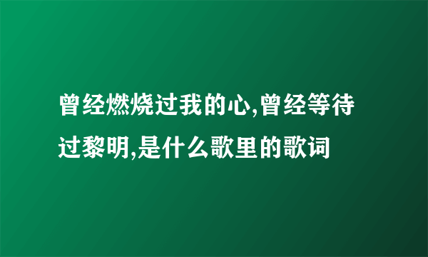 曾经燃烧过我的心,曾经等待过黎明,是什么歌里的歌词