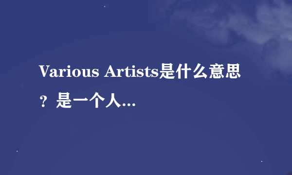 Various Artists是什么意思？是一个人还是什么？